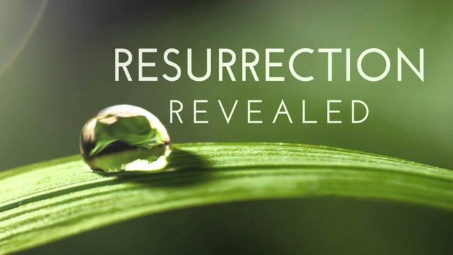 Résurrection Saison 3 Date de sortie - annulé