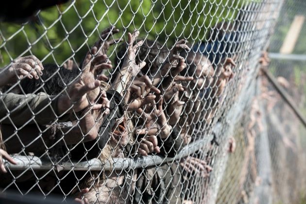 Walkers - The Walking Dead _ Saison 4, Episode 1 - Crédit photo: Gene page / AMC